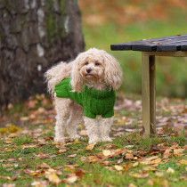 Pullover 40cm Grün